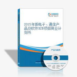 2015年版电子 通信产品及软件B2B项目商业计划书