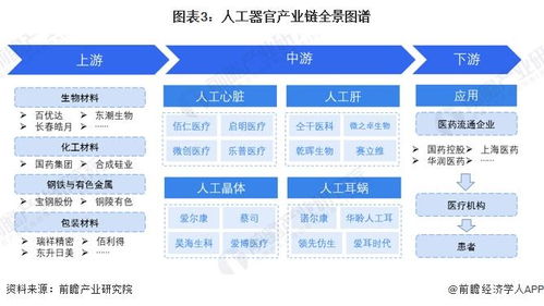 预见2024 2024年中国人工器官行业全景图谱 附市场现状 竞争格局和发展趋势等