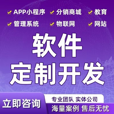 承接软件开发 小程序开发 APP开发 网站搭建 各行业应用系统应用开发
